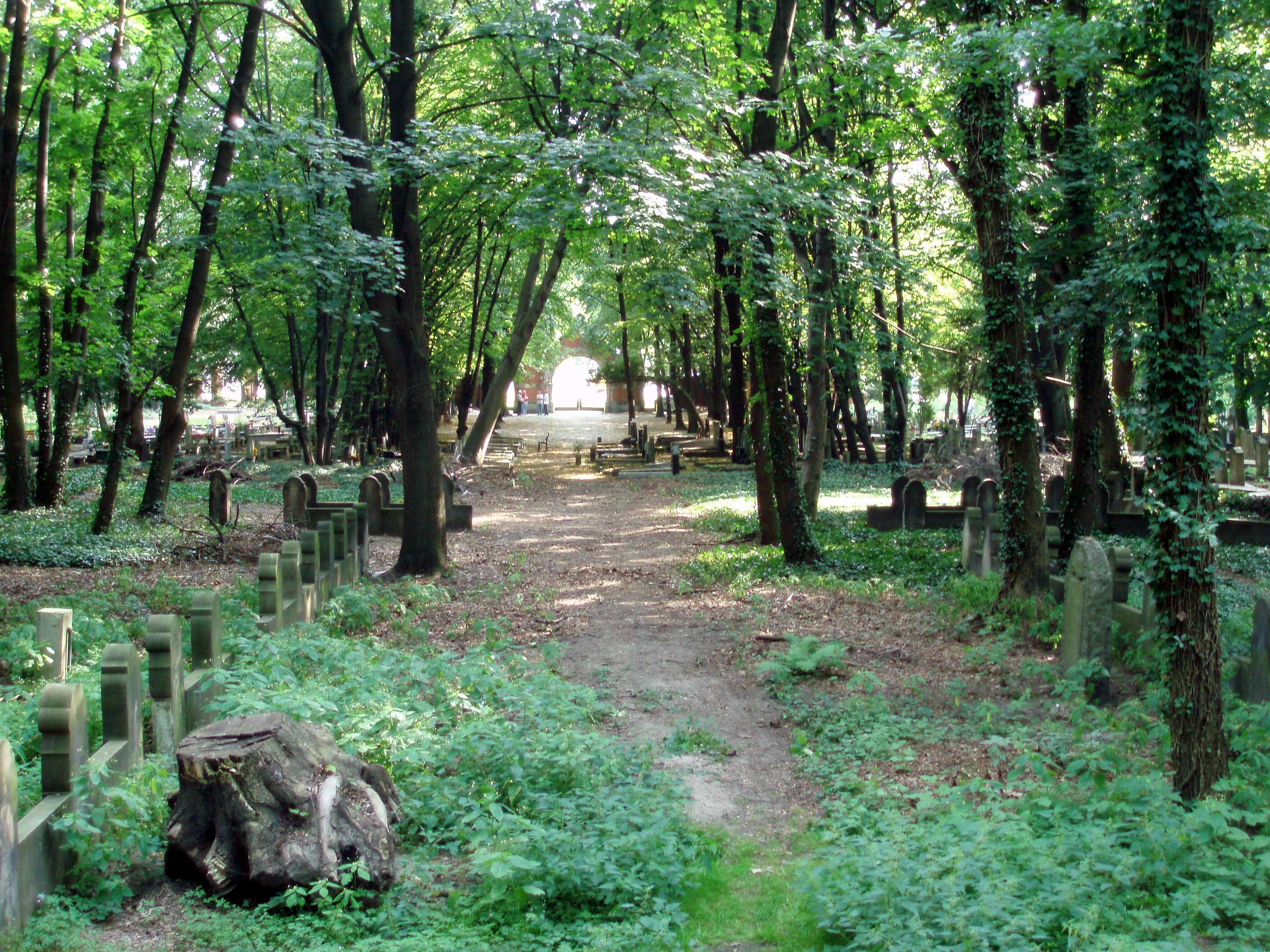 Neuer Jüdischer Friedhof in Breslau/Wrocław im Jahr 2007. Foto von Horst Blume